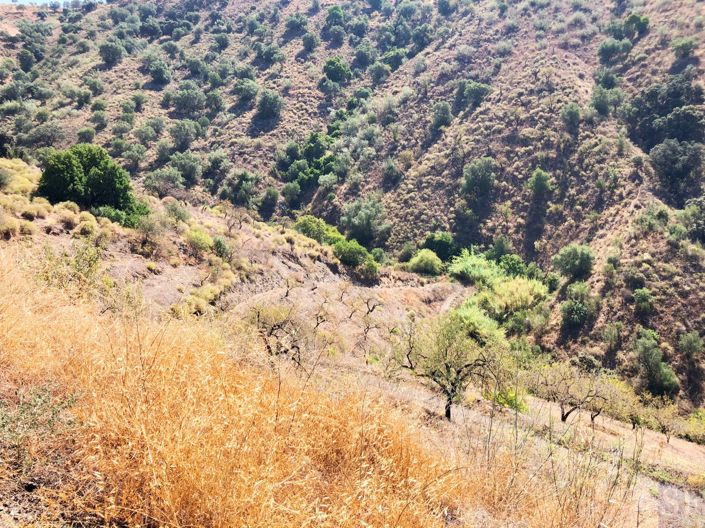 Image No.4-Plot for sale