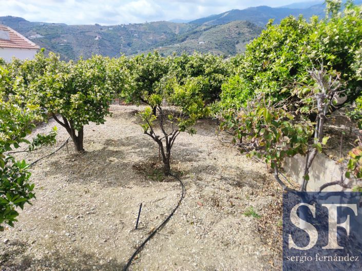 Image No.18-4 Bed Townhouse for sale