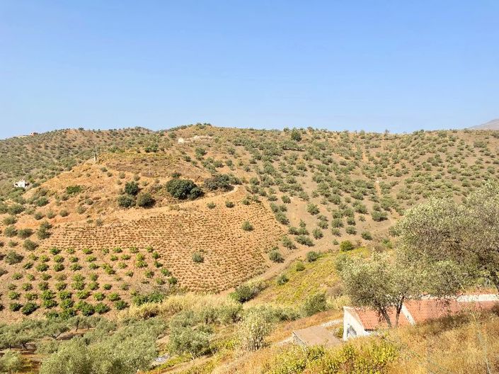 Image No.19-2 Bed Villa for sale