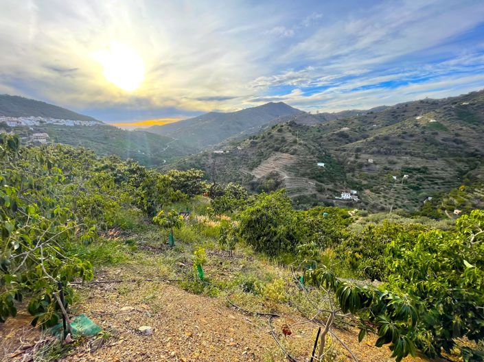 Image No.10-Country House for sale