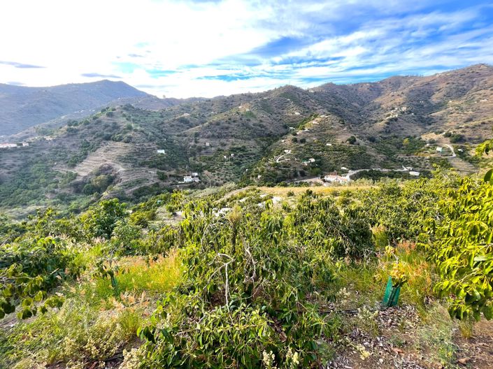 Image No.5-Country House for sale