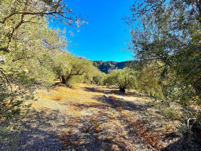 Image No.16-1 Bed Villa for sale