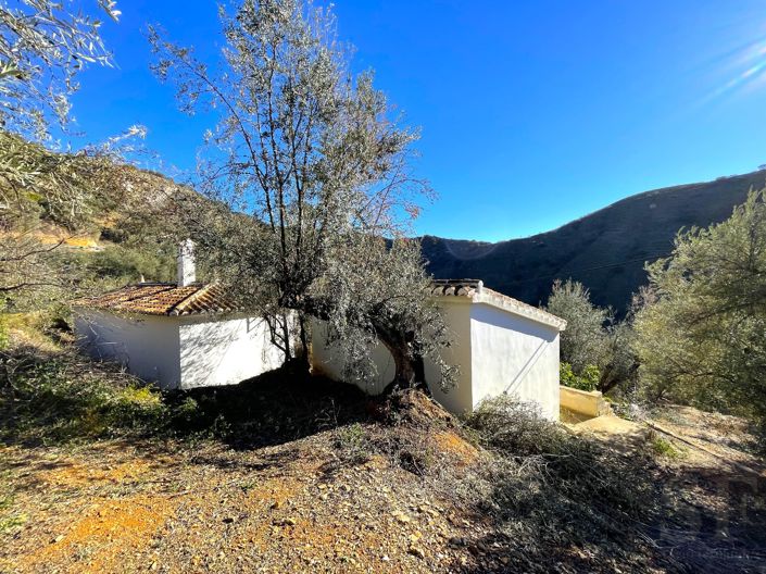 Image No.18-1 Bed Villa for sale