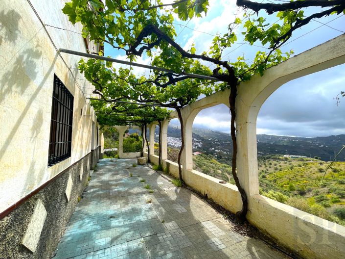 Image No.3-3 Bed Villa for sale