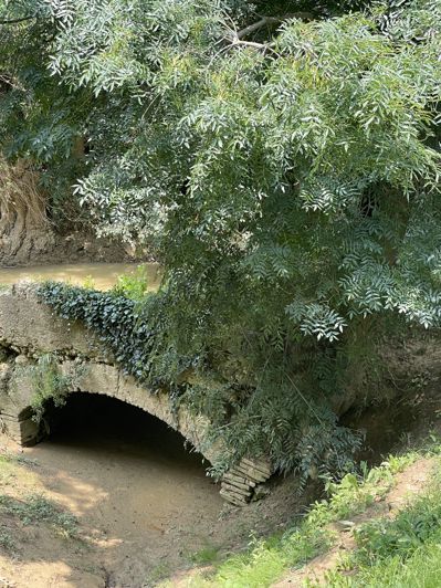 Image No.34-4 Bed House for sale