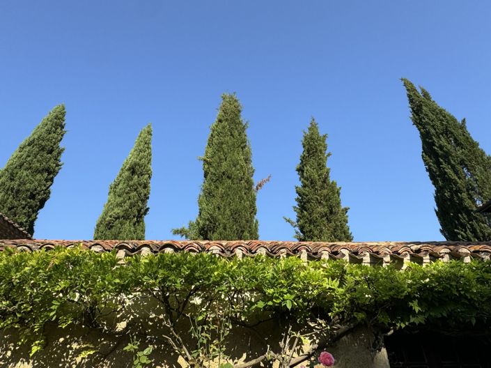 Image No.5-5 Bed Property for sale