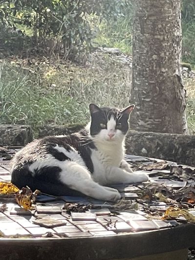 Image No.60-5 Bed Property for sale