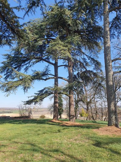 Image No.3-6 Bed House for sale