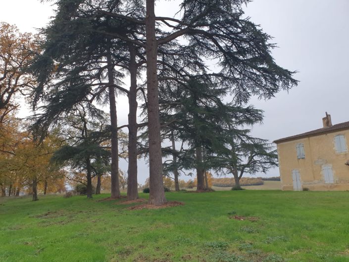 Image No.30-6 Bed House for sale