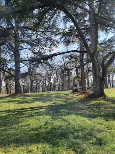 Image No.8-6 Bed House for sale