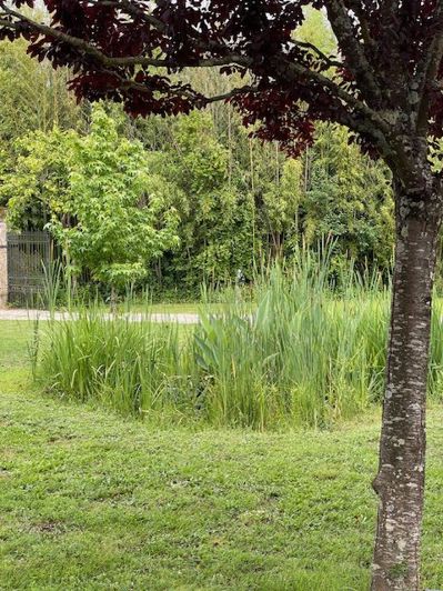 Image No.56-5 Bed House for sale