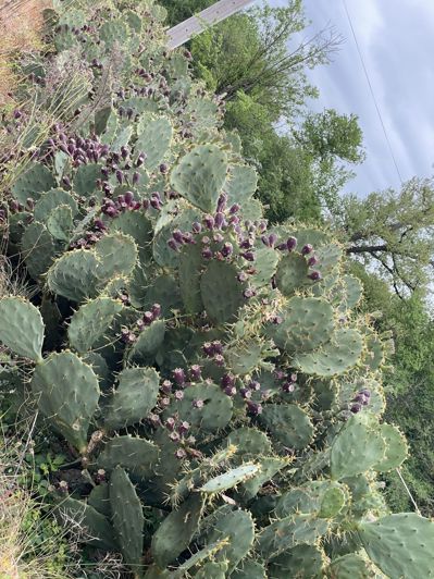 Image No.10-House for sale