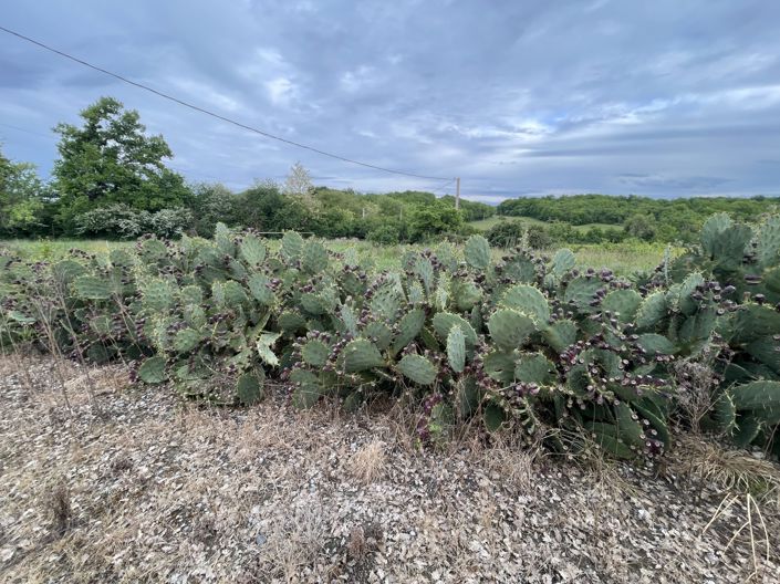 Image No.29-House for sale