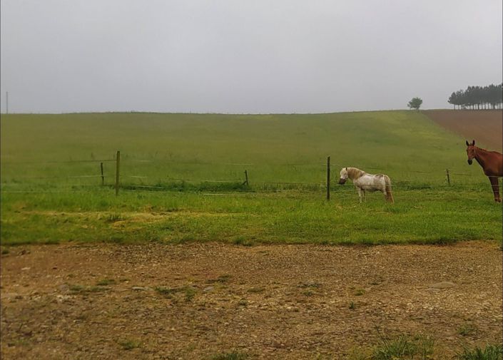 Image No.3-House for sale