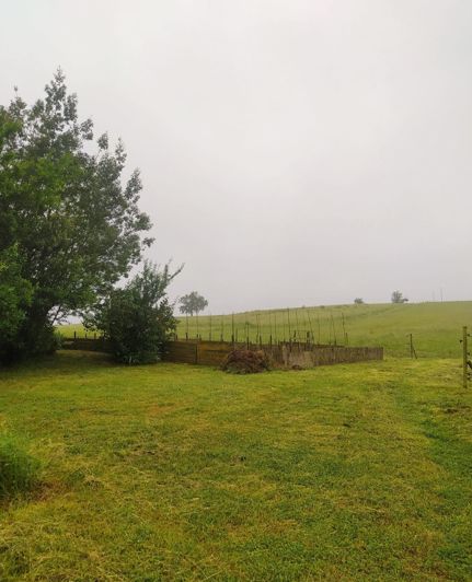 Image No.5-House for sale