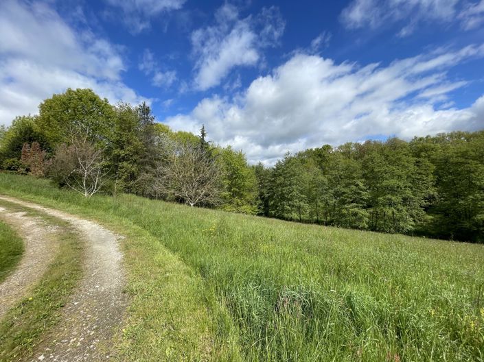 Image No.33-4 Bed House for sale