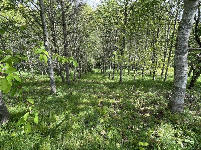 Image No.37-4 Bed House for sale