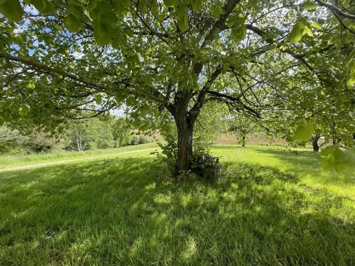 Image No.39-4 Bed House for sale