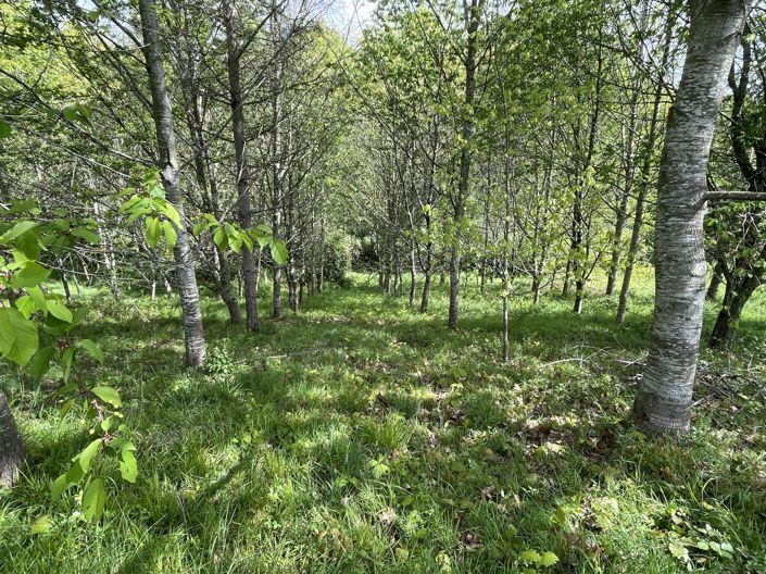 Image No.7-4 Bed House for sale