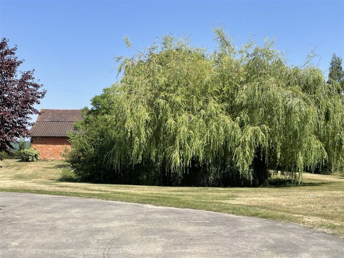 Image No.26-House for sale