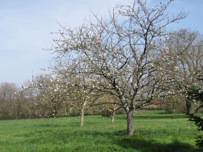 Image No.27-2 Bed House for sale