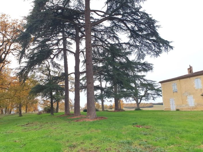 Image No.39-House for sale