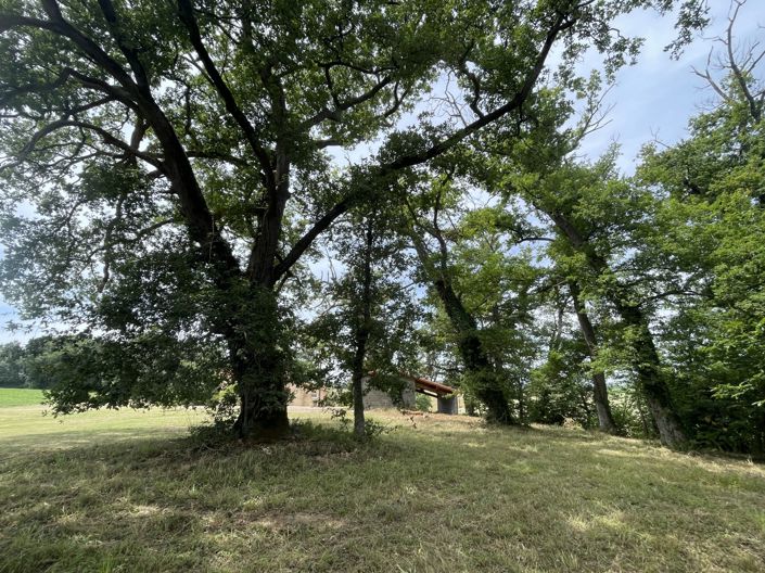 Image No.29-3 Bed Country House for sale