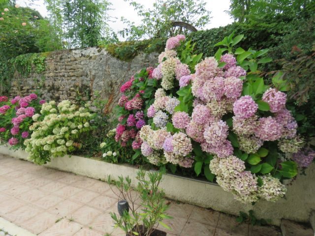 Image No.45-6 Bed House for sale