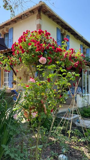 Image No.16-15 Bed House for sale