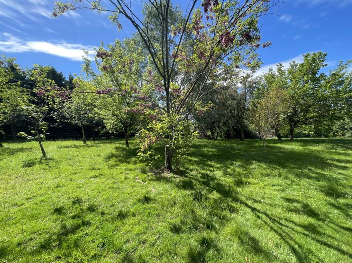 Image No.31-3 Bed Country House for sale