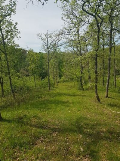 Image No.13-4 Bed House for sale