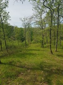 maison-ancienne-10-pieces-marciac-32230-17243