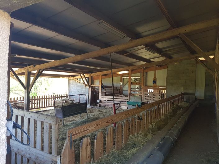 Image No.20-4 Bed House for sale