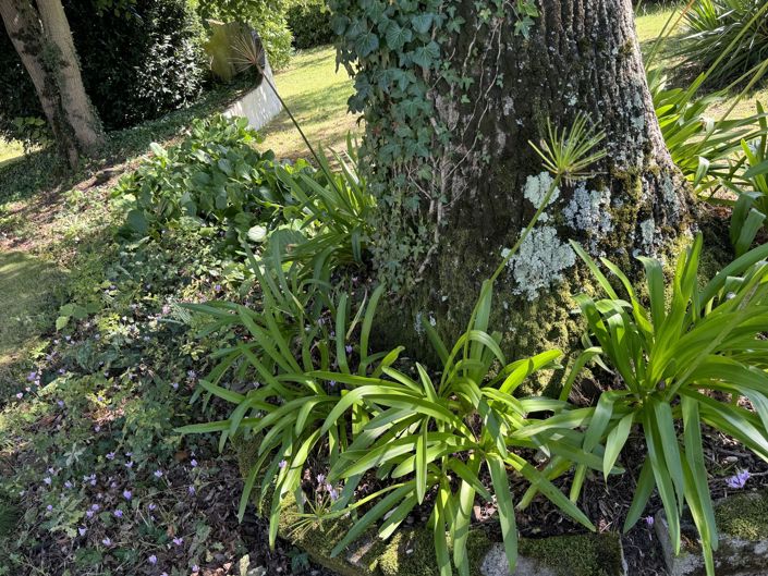 Image No.53-3 Bed House for sale