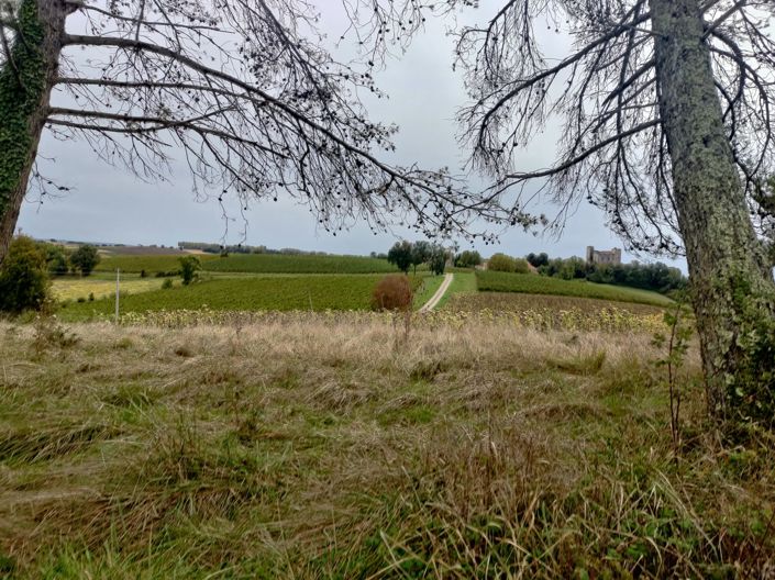 Image No.31-3 Bed House for sale