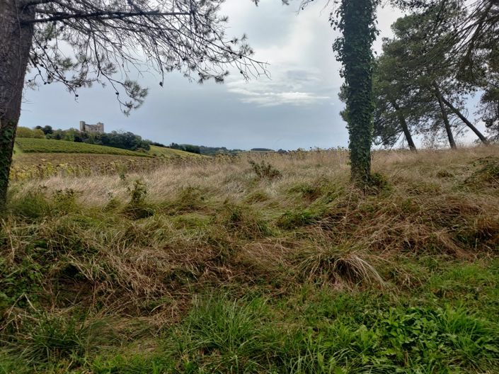 Image No.33-3 Bed House for sale