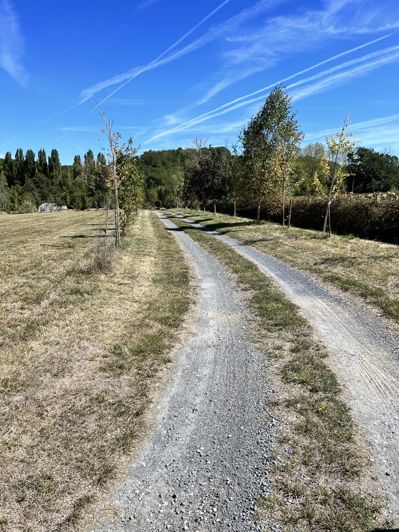 Image No.17-5 Bed House for sale