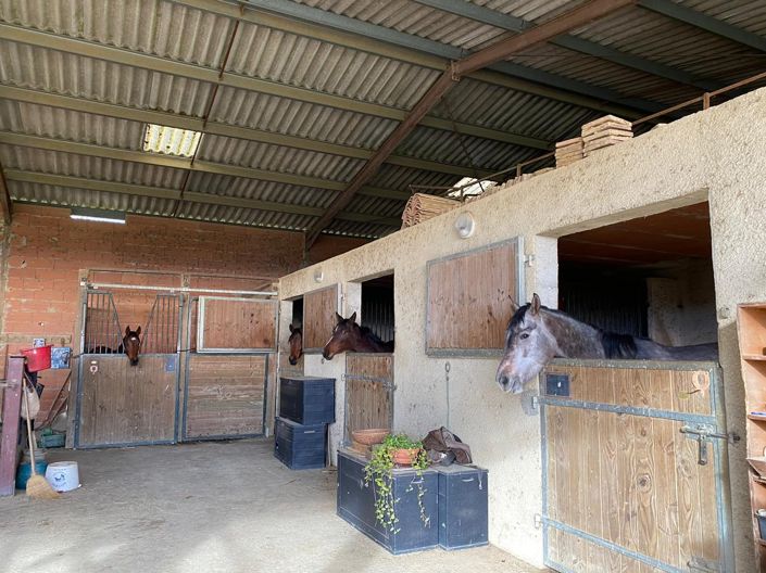 Image No.4-4 Bed House for sale