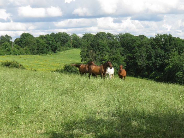 Image No.6-4 Bed House for sale