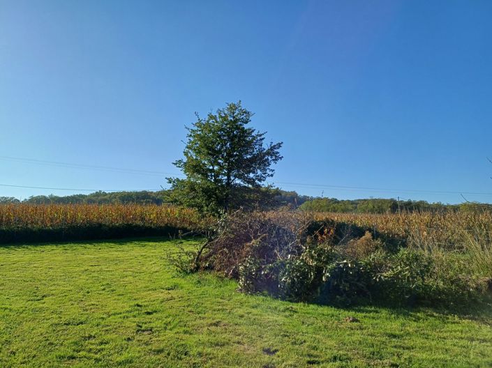 Image No.28-6 Bed House for sale