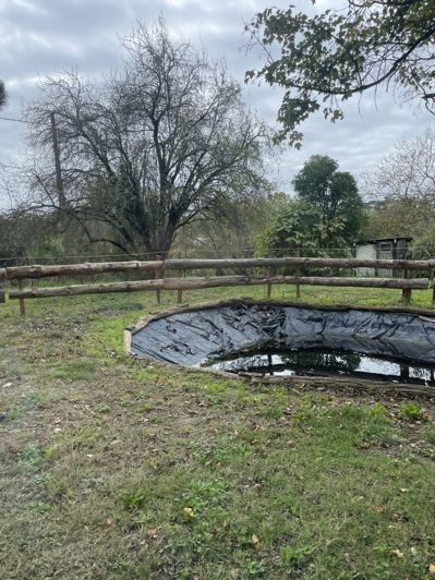 Image No.19-4 Bed House for sale