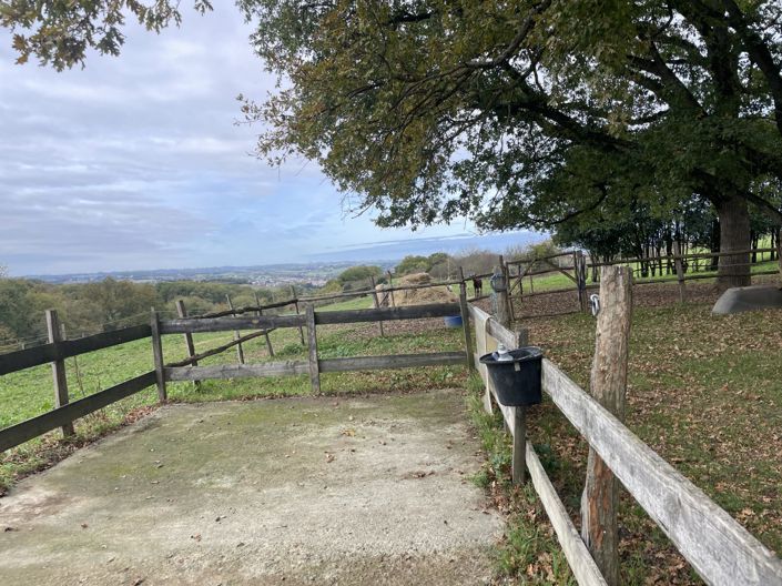 Image No.20-4 Bed House for sale