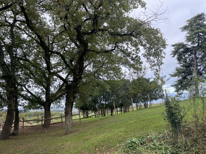 Image No.21-4 Bed House for sale