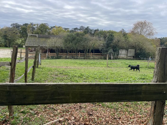 Image No.22-4 Bed House for sale