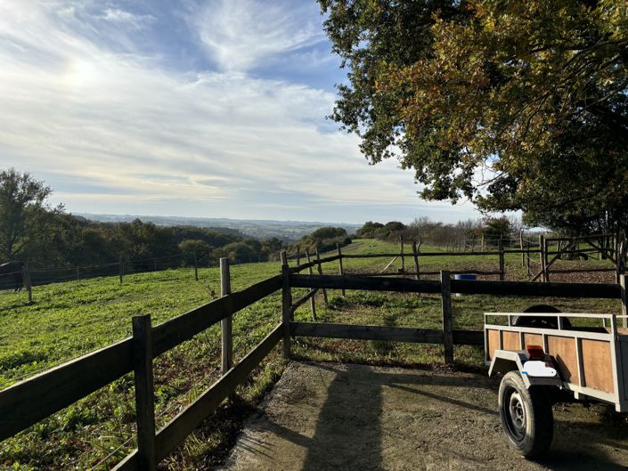 Image No.26-4 Bed House for sale