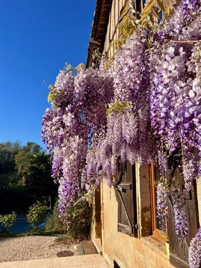 Image No.25-7 Bed House for sale