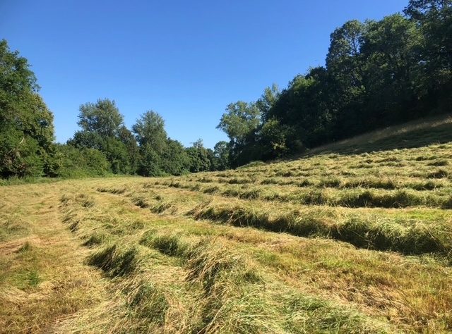 Image No.29-7 Bed House for sale