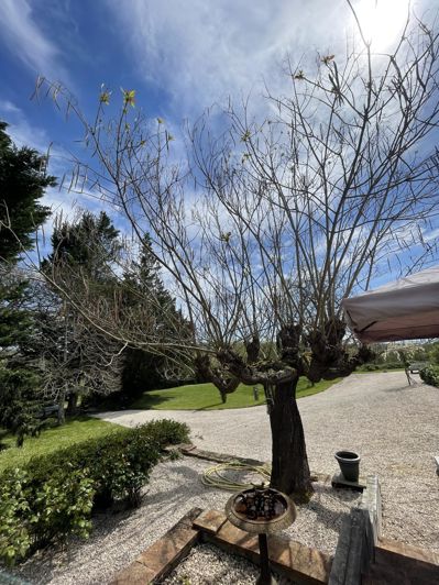 Image No.47-4 Bed House for sale