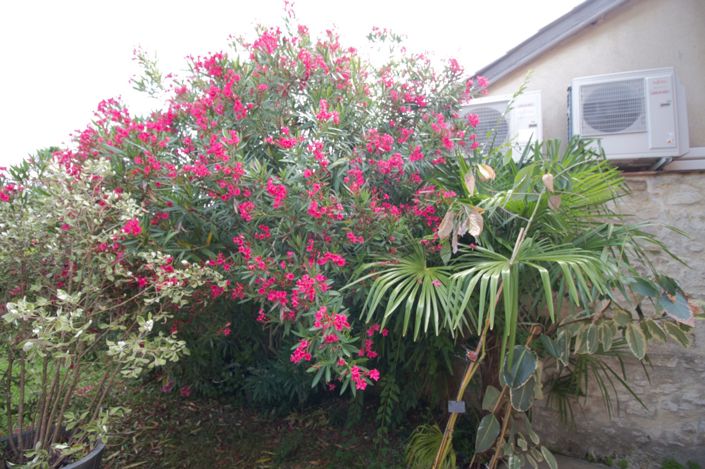 Image No.34-3 Bed House for sale