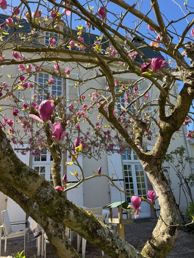 Image No.50-4 Bed House for sale